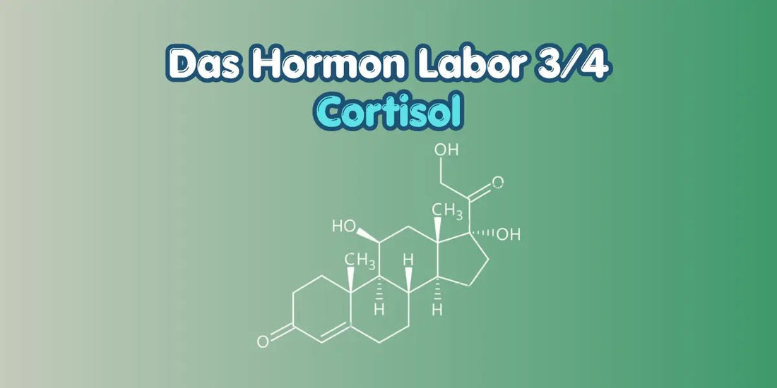 Cortisol verstehen im Hormon Labor Blog von True Organic Cosmetics