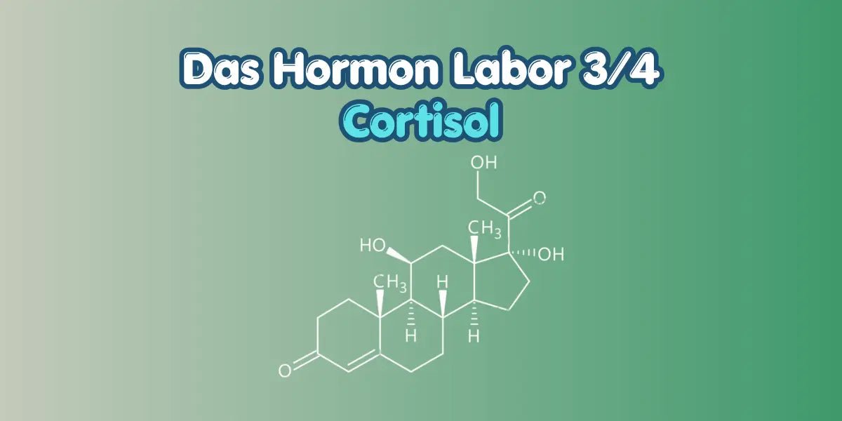 Cortisol verstehen im Hormon Labor Blog von True Organic Cosmetics