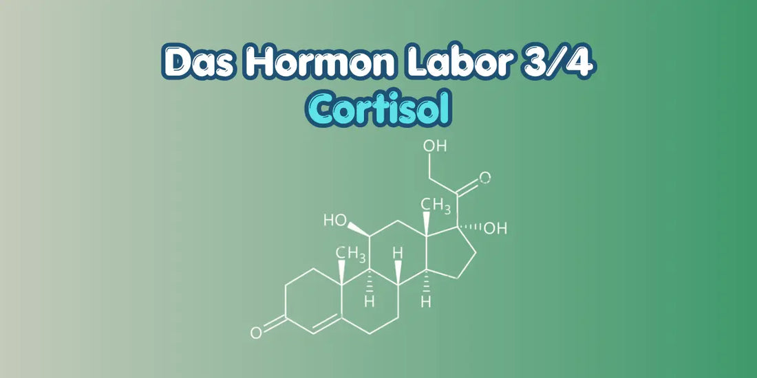 Cortisol verstehen im Hormon Labor Blog von True Organic Cosmetics
