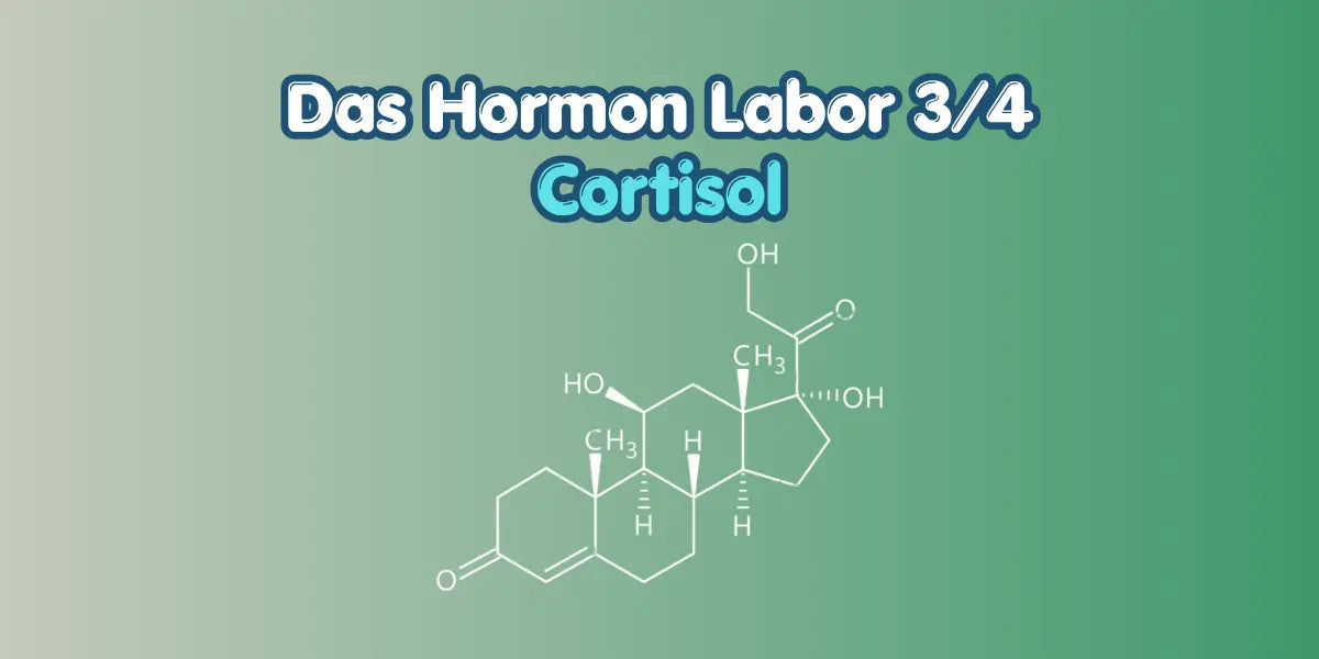 Cortisol verstehen im Hormon Labor Blog von True Organic Cosmetics