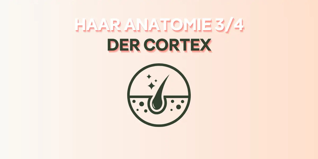 Der Cortex im Foundation Blog von True Organic Cosmetics