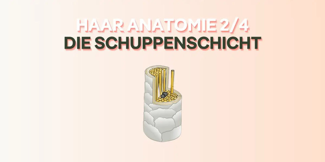 Die Schuppenschicht im Foundation Blog von True Organic Cosmetics