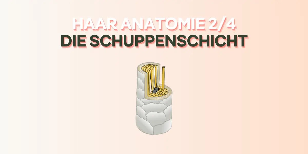 Die Schuppenschicht im Foundation Blog von True Organic Cosmetics