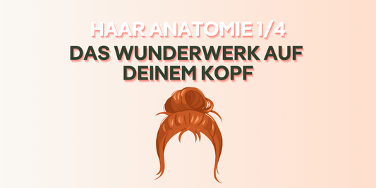 Hair Anatomy - The Marvel on Your Head (cover image)