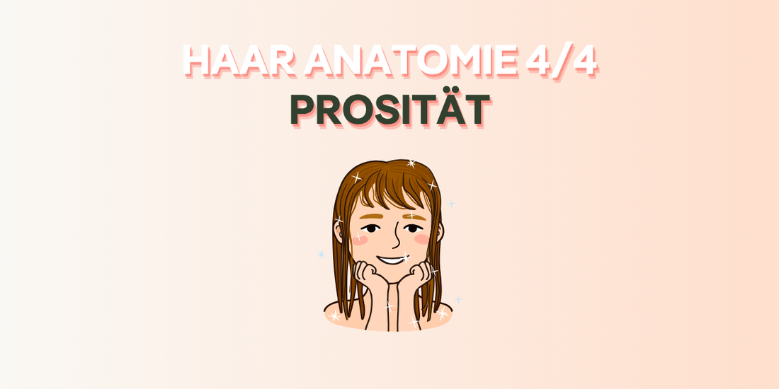 Hair Anatomy - Porosity (cover image)