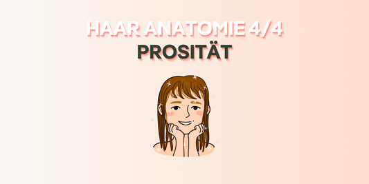 Hair Anatomy - Porosity (cover image)