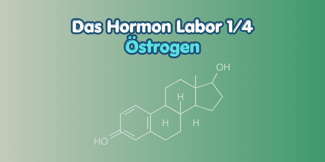 hormon labor - östrogen cover bild