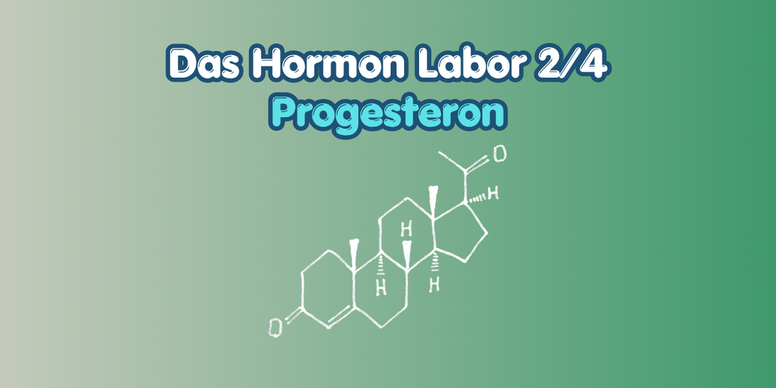 Hormone Lab - Progesterone Cover Image