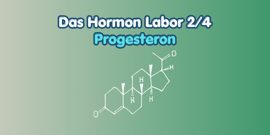 hormon labor - progesteron cover bild