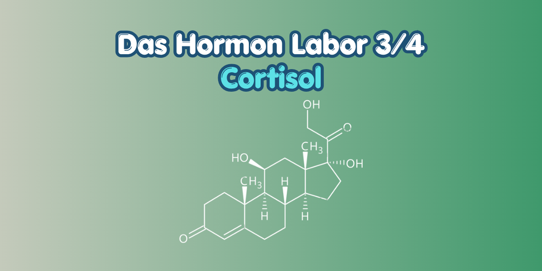 hormon labor - cortisol cover bild