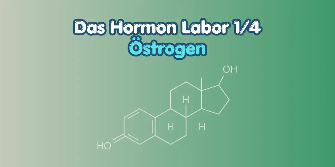 Östrogen verstehen im Hormon Labor Blog von True Organic Cosmetics