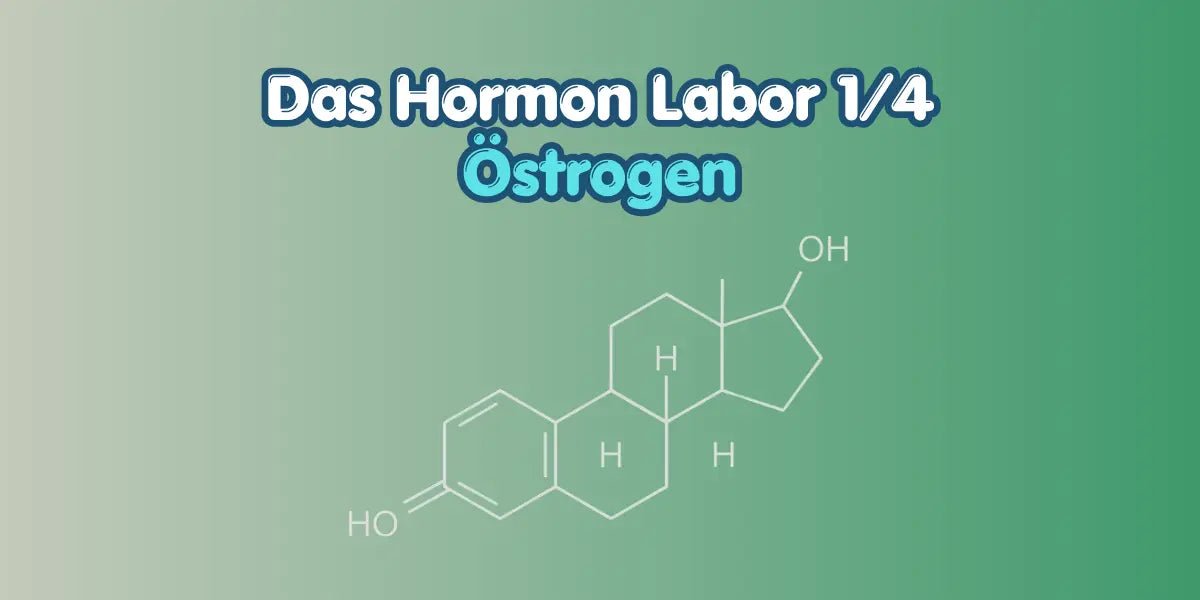 Östrogen verstehen im Hormon Labor Blog von True Organic Cosmetics