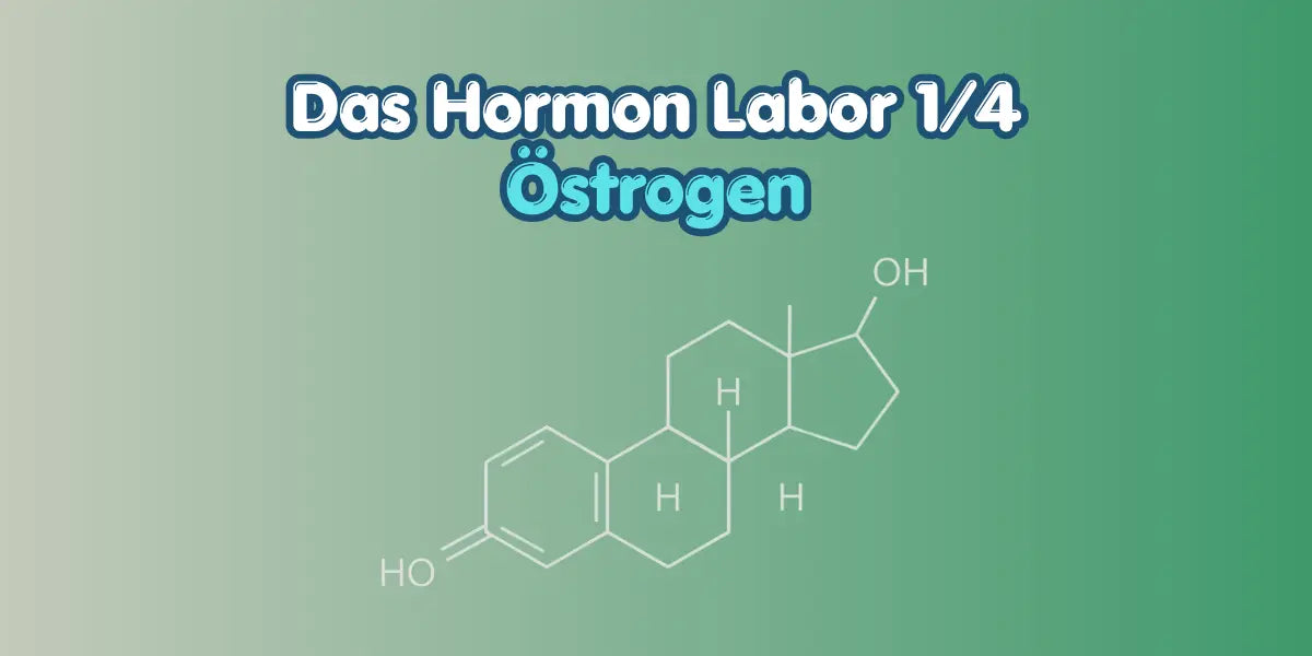 Östrogen verstehen im Hormon Labor Blog von True Organic Cosmetics