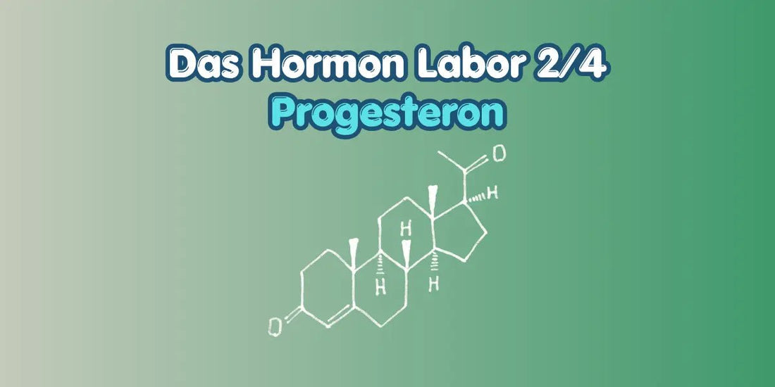 Progesteron verstehen im Hormon Labor Blog von True Organic Cosmetics