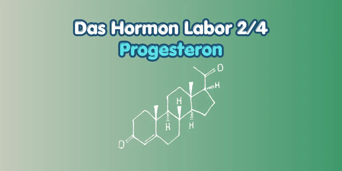 Progesteron verstehen im Hormon Labor Blog von True Organic Cosmetics