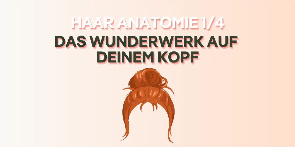Das Wunderwerk auf deinem Kopf im Foundation Blog von True Organic Cosmetics