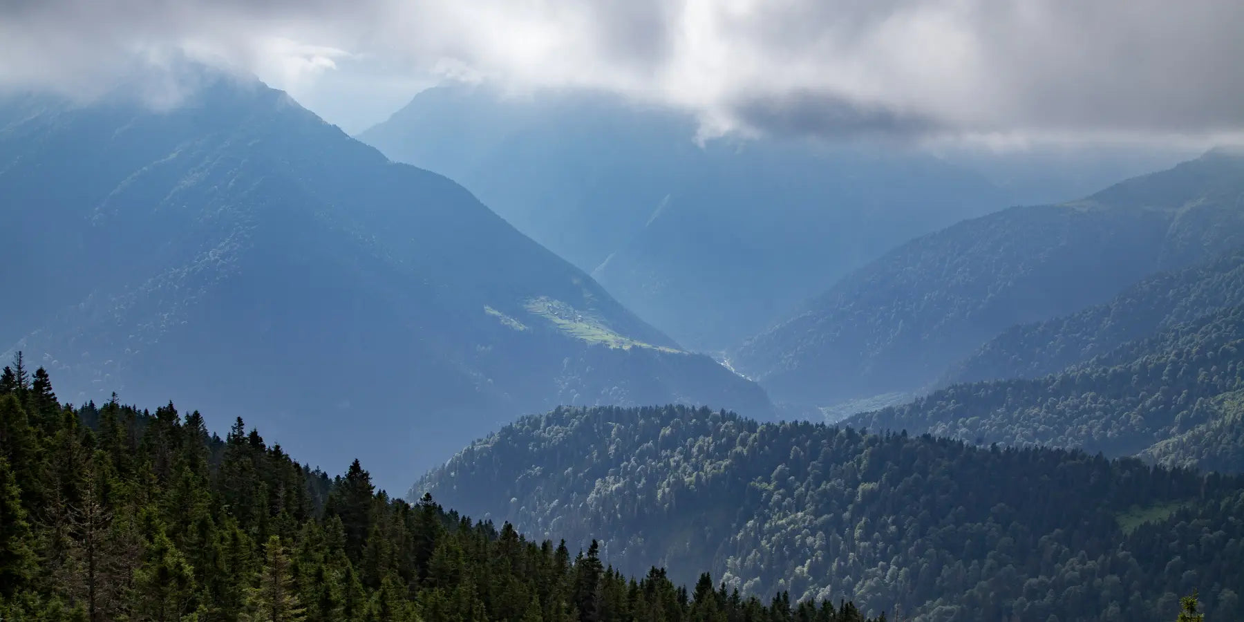 Panoramafoto von Bergen die mit Wäldern überzogen sind
