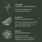 Starter Set