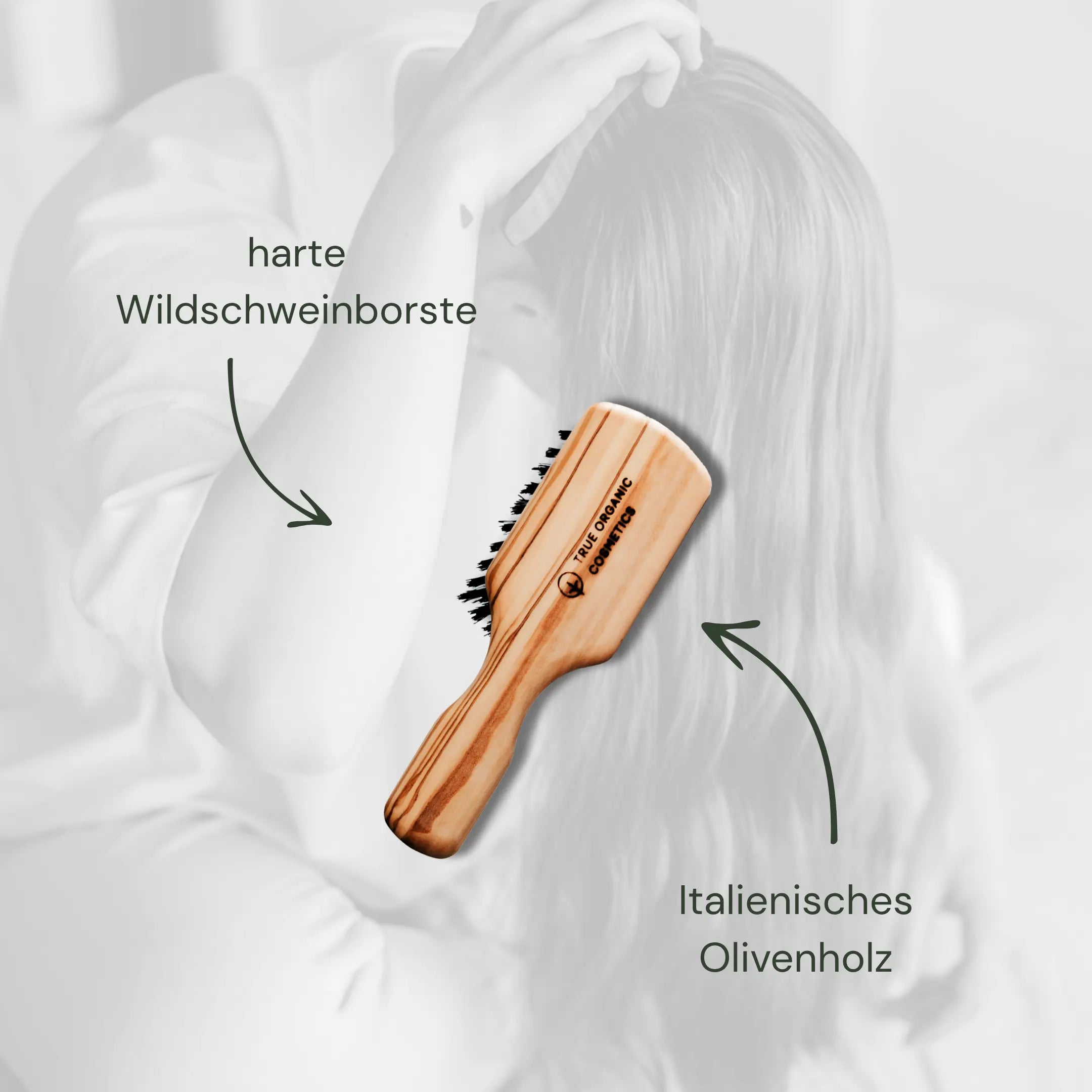 Olivholz-Kopfkardätsche